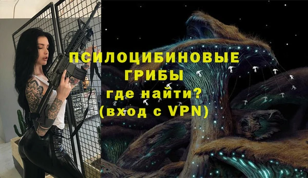 не бодяженный Вяземский