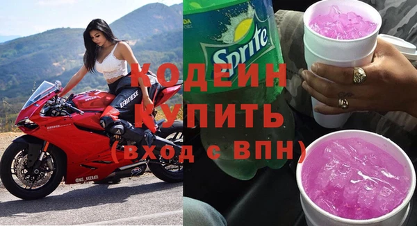 индика Вязьма