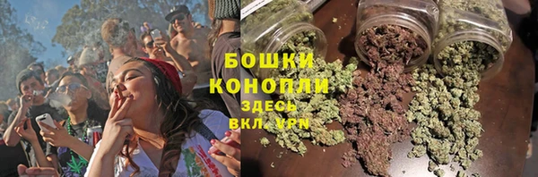 ГАЛЛЮЦИНОГЕННЫЕ ГРИБЫ Горняк