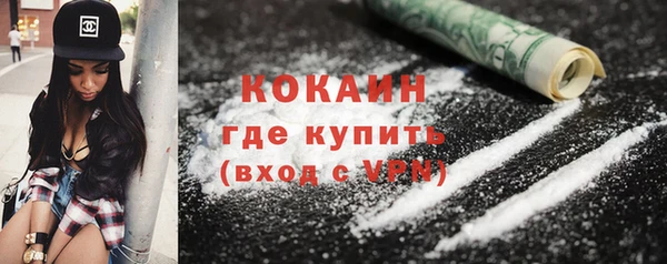 прущие грибы Гусь-Хрустальный