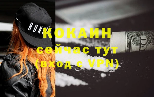шишки Володарск