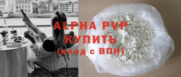 индика Вязьма