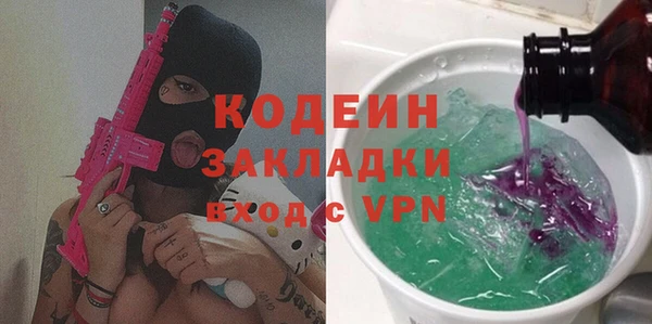 индика Вязьма