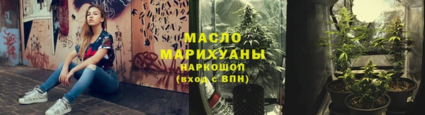 индика Вязьма