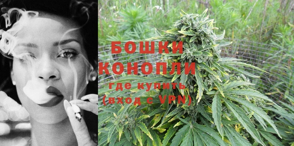 ГАЛЛЮЦИНОГЕННЫЕ ГРИБЫ Горняк